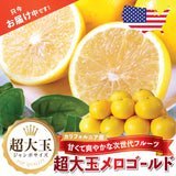【カリフォルニア産】超大玉メロゴールド
