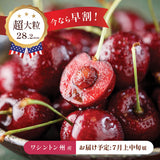 【ワシントン産】超大粒ダークチェリー
