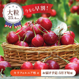 【カリフォルニア産】大粒ダークチェリー