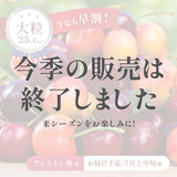 【ワシントン産】大粒ダーク & レイニアチェリー