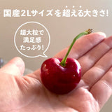 【オレゴン産】超大粒ダークチェリー