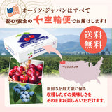 【ワシントン産】大粒ダークチェリー & ブルーベリーセット