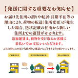 【アメリカ産】大玉ネーブルオレンジ (L)