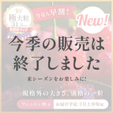 【ワシントン産】極大粒クラウン・ダークチェリー