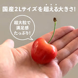 【ワシントン産】超大粒ダーク & レイニアチェリー