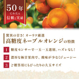【カリフォルニア産】高糖度ロイヤルネーブルオレンジ