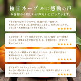 【カリフォルニア産】高糖度ロイヤルネーブルオレンジ