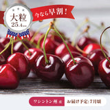 【ワシントン産】大粒ダークチェリー
