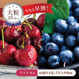 【ワシントン産】大粒ダークチェリー & ブルーベリーセット