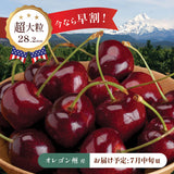 【オレゴン産】超大粒ダークチェリー