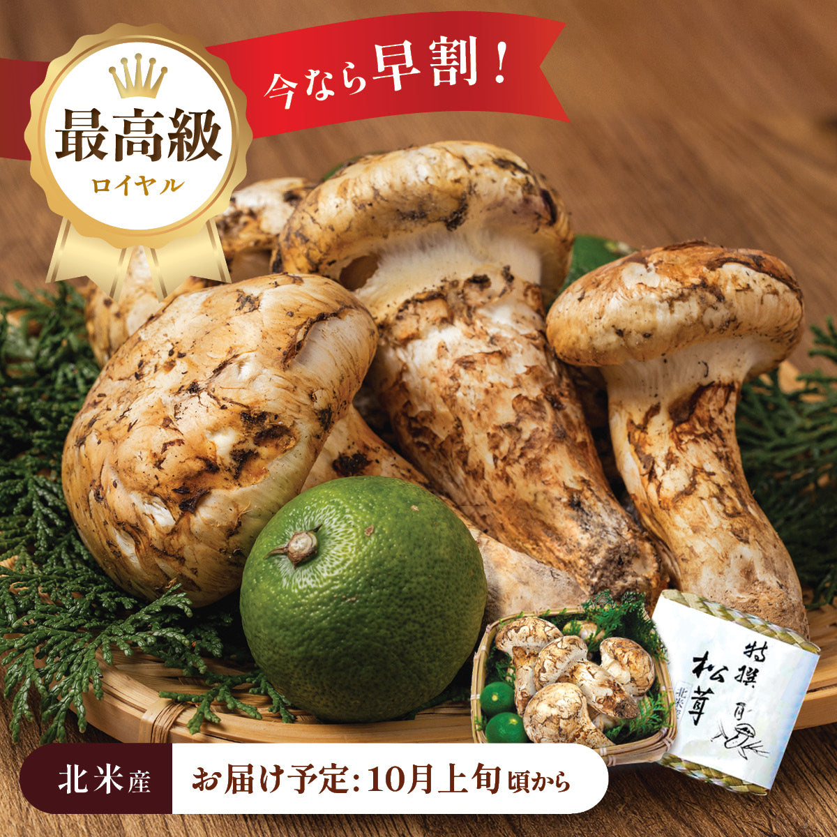 北米産松茸 – oritzjapan