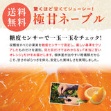 【カリフォルニア産】高糖度ロイヤルネーブルオレンジ