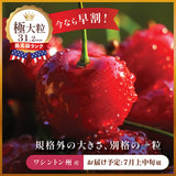 【ワシントン産】極大粒クラウン・ダークチェリー