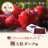 【ワシントン産】極大粒クラウン・ダークチェリー