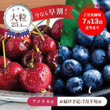 【ワシントン産】大粒ダークチェリー & ブルーベリーセット