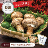 【北米産】特選プレミアム松茸