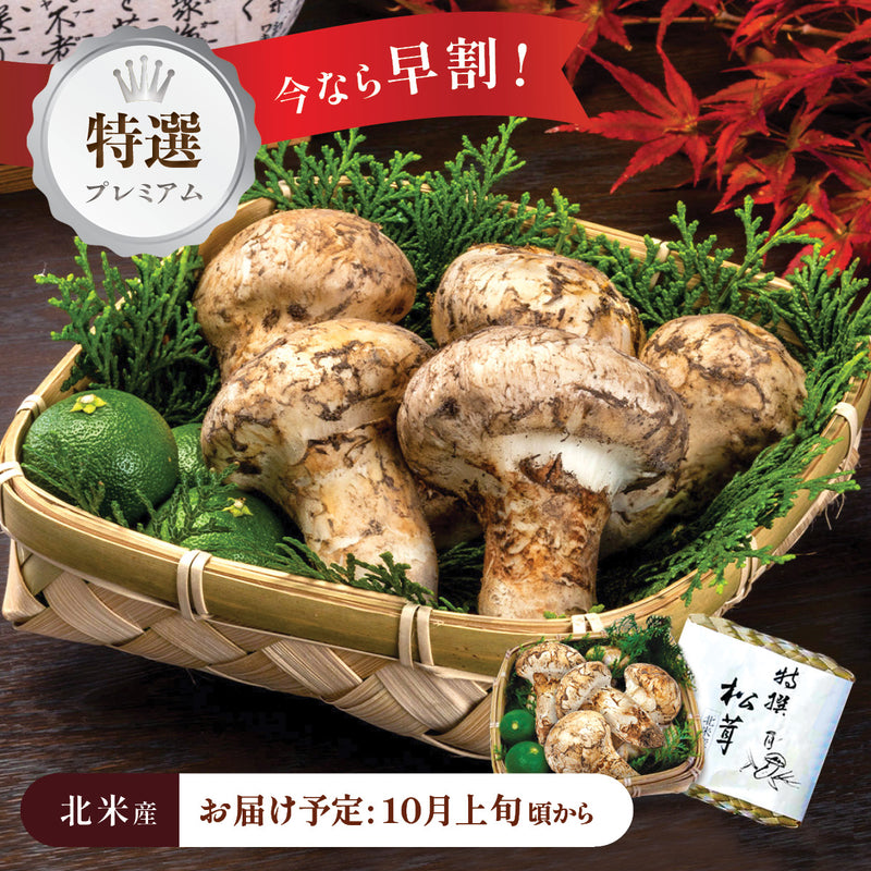 【北米産】特選プレミアム松茸