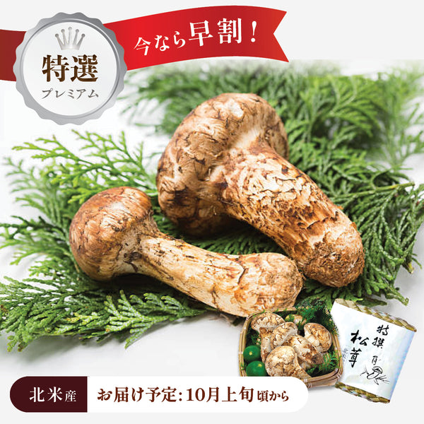 【北米産】特選プレミアム松茸