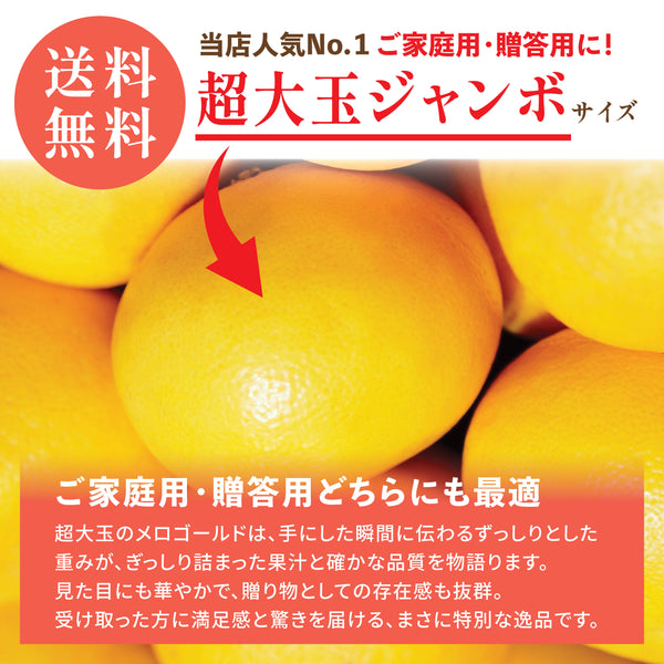 【カリフォルニア産】超大玉メロゴールド