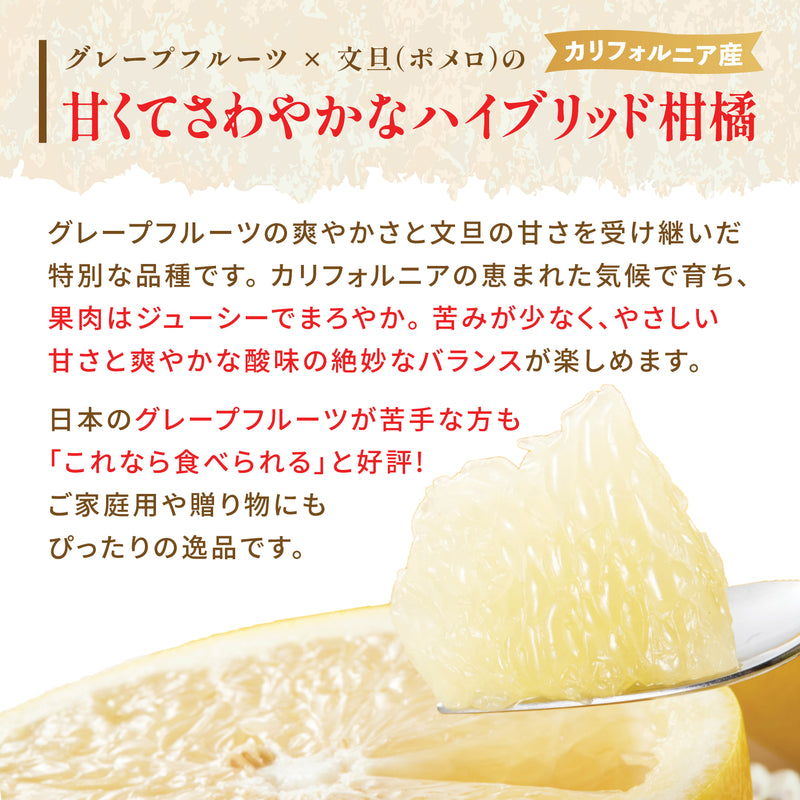 【カリフォルニア産】超大玉メロゴールド