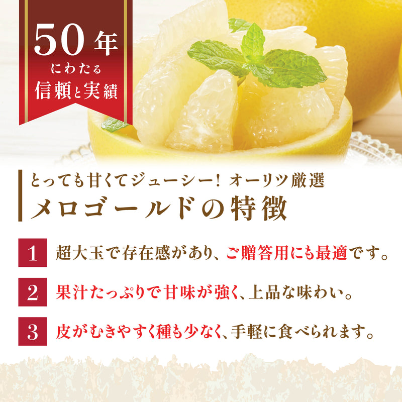 【カリフォルニア産】超大玉メロゴールド