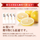 【カリフォルニア産】超大玉メロゴールド