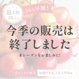 【ワシントン産】超大粒レイニアチェリー
