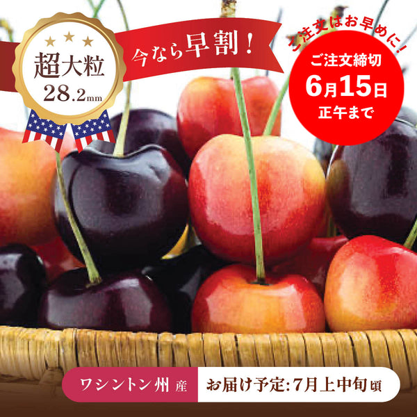 アメリカン・チェリー – oritzjapan