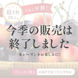【ワシントン産】超大粒ダーク & レイニアチェリー