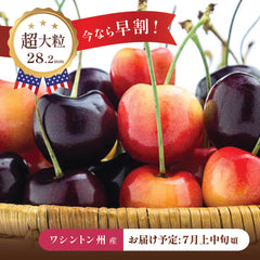 【ワシントン産】超大粒ダーク & レイニアチェリー