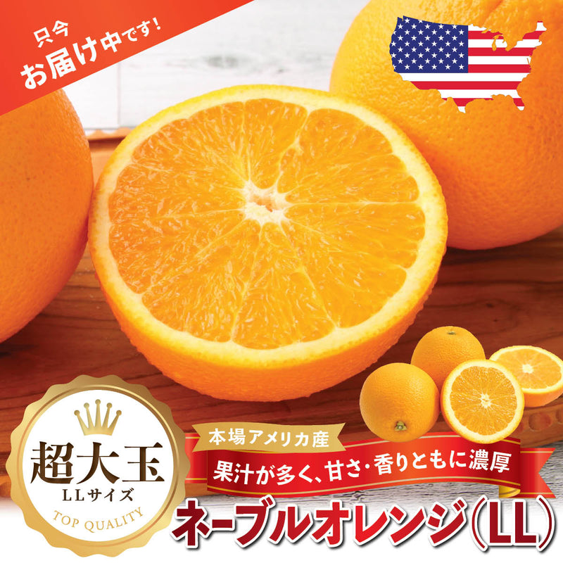 カリフォルニア産】大玉ネーブルオレンジ (LL) – oritzjapan