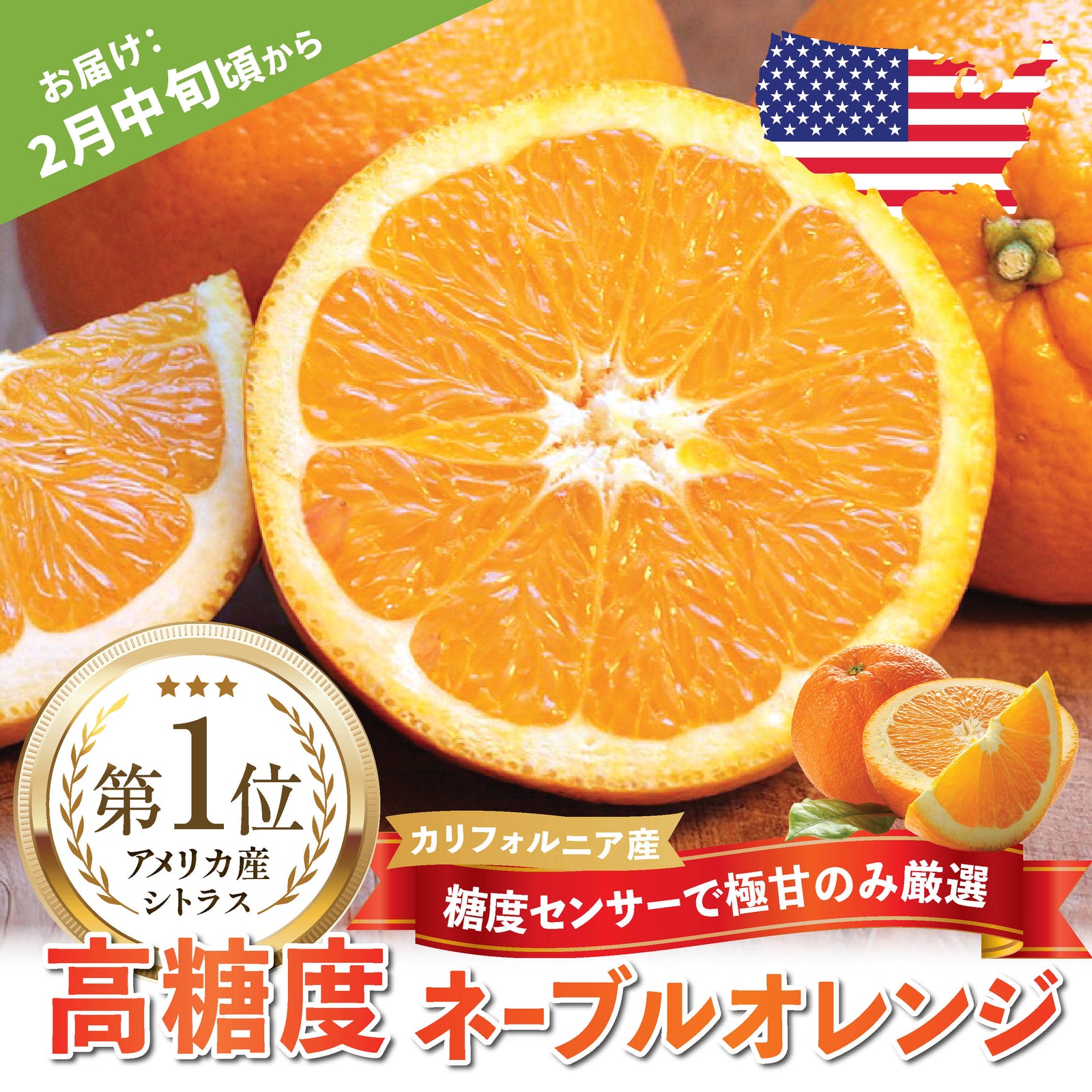 カリフォルニア産】高糖度ロイヤルネーブルオレンジ – oritzjapan