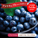 【アメリカ産】ブルーベリー