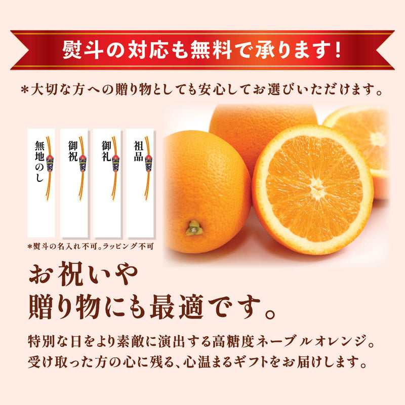 カリフォルニア産】高糖度ロイヤルネーブルオレンジ – oritzjapan