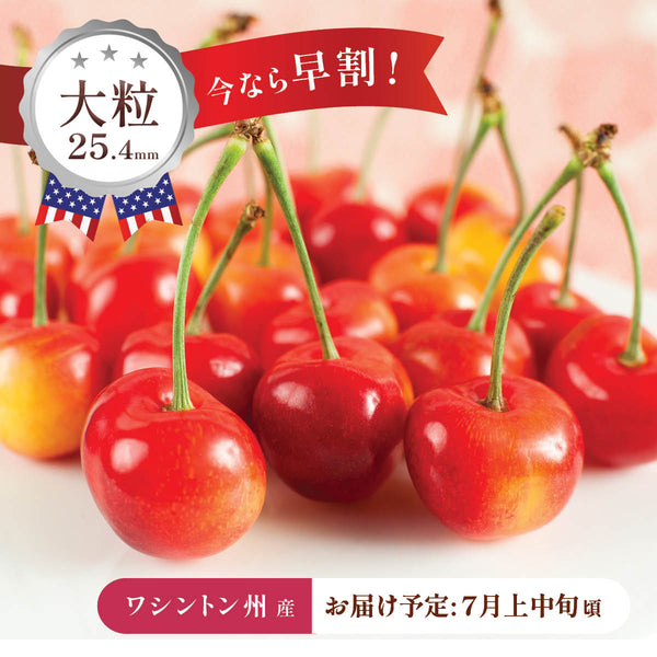 アメリカン・チェリー – oritzjapan
