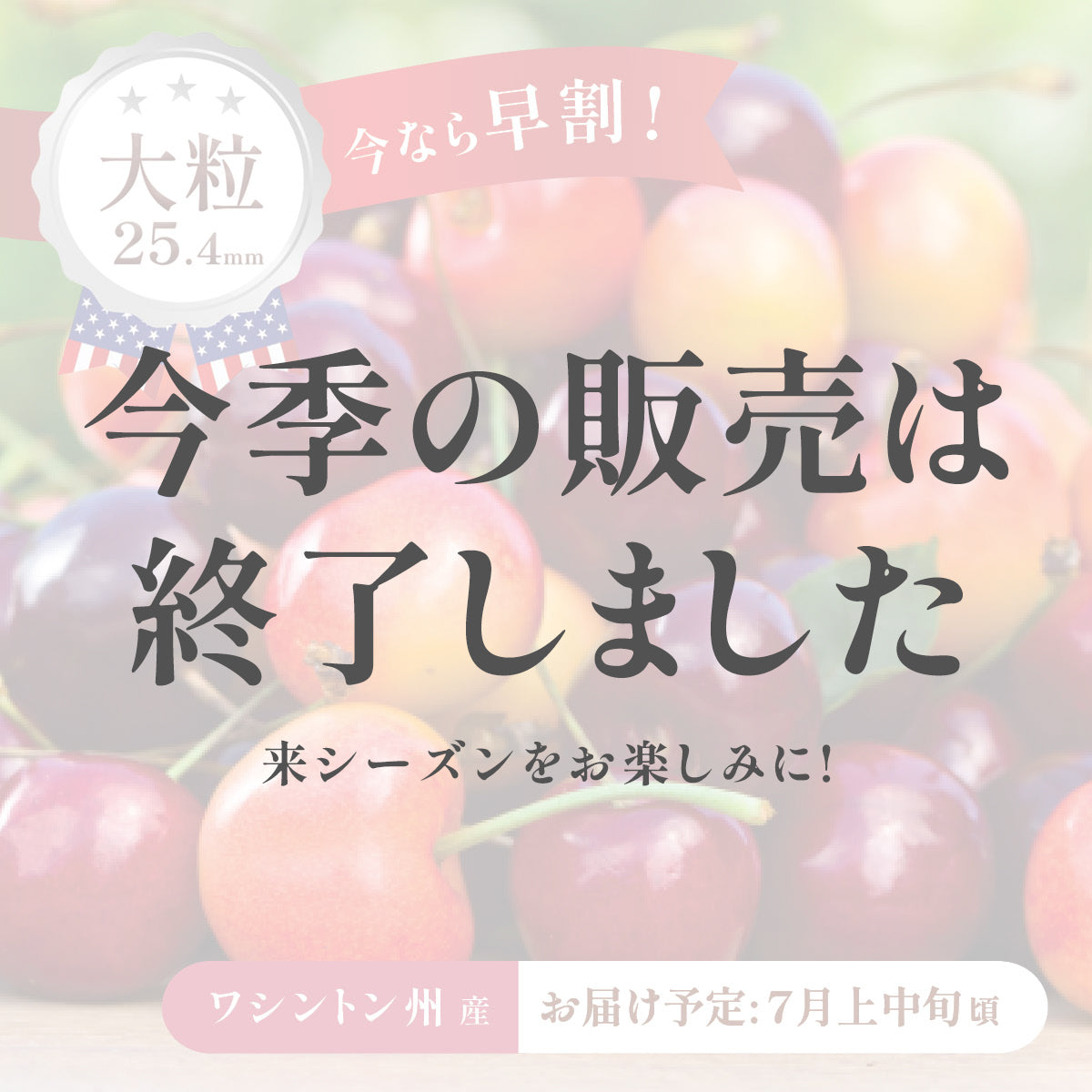 アメリカン・チェリー – oritzjapan