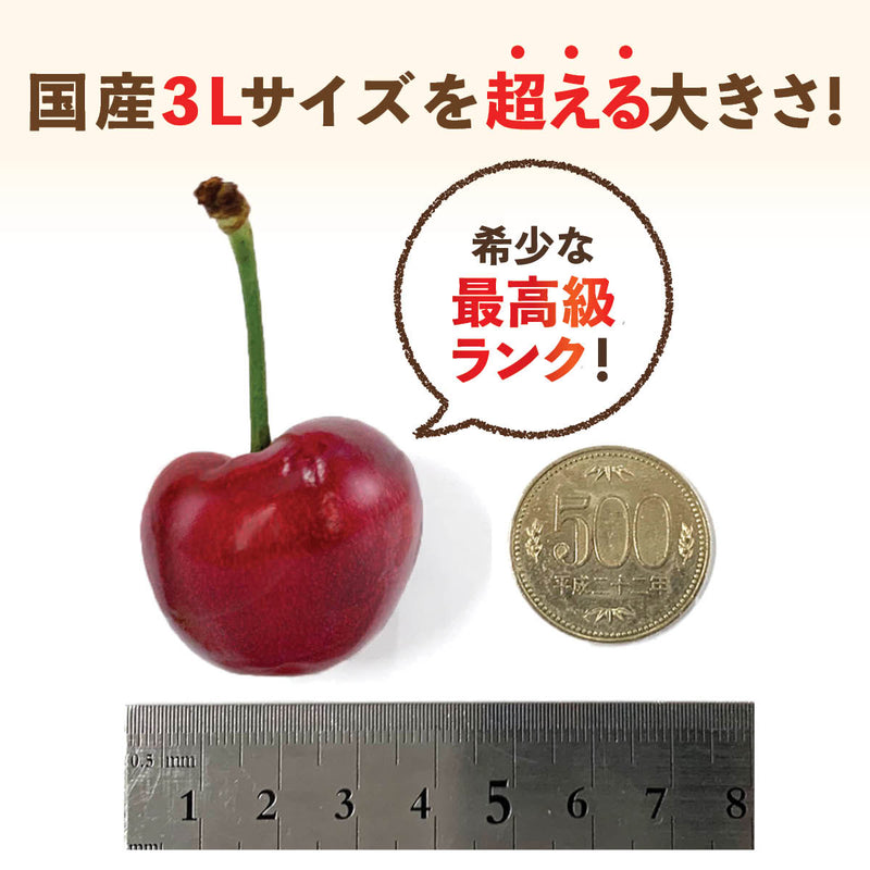ワシントン産】極大粒クラウン・ダークチェリー – oritzjapan