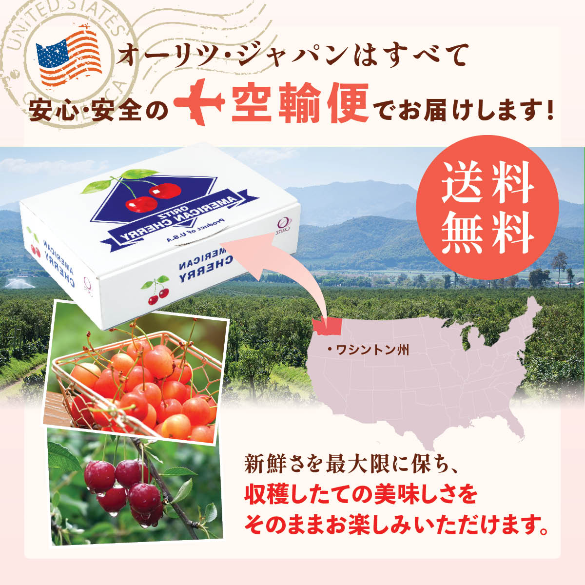 ワシントン産】大粒ダークチェリー – oritzjapan
