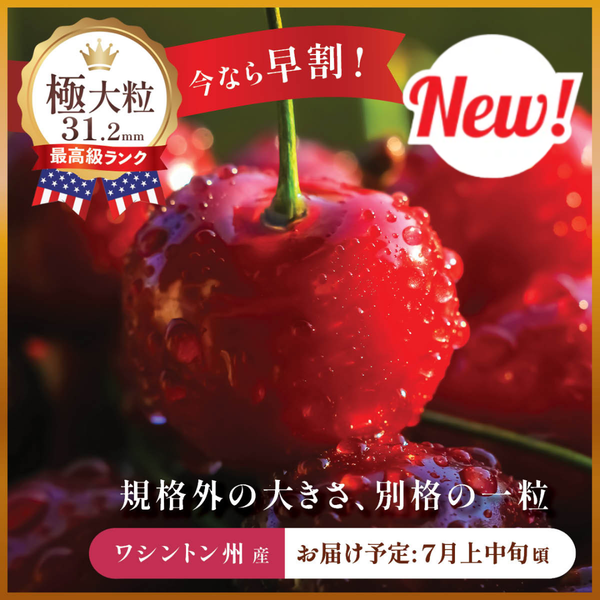 AR CHR まとめ売り 約171枚 状態A】リザードン CHR (187/184) [s8b] の通販・買取価格（ポケモン