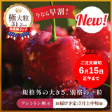 【ワシントン産】極大粒クラウン・ダークチェリー