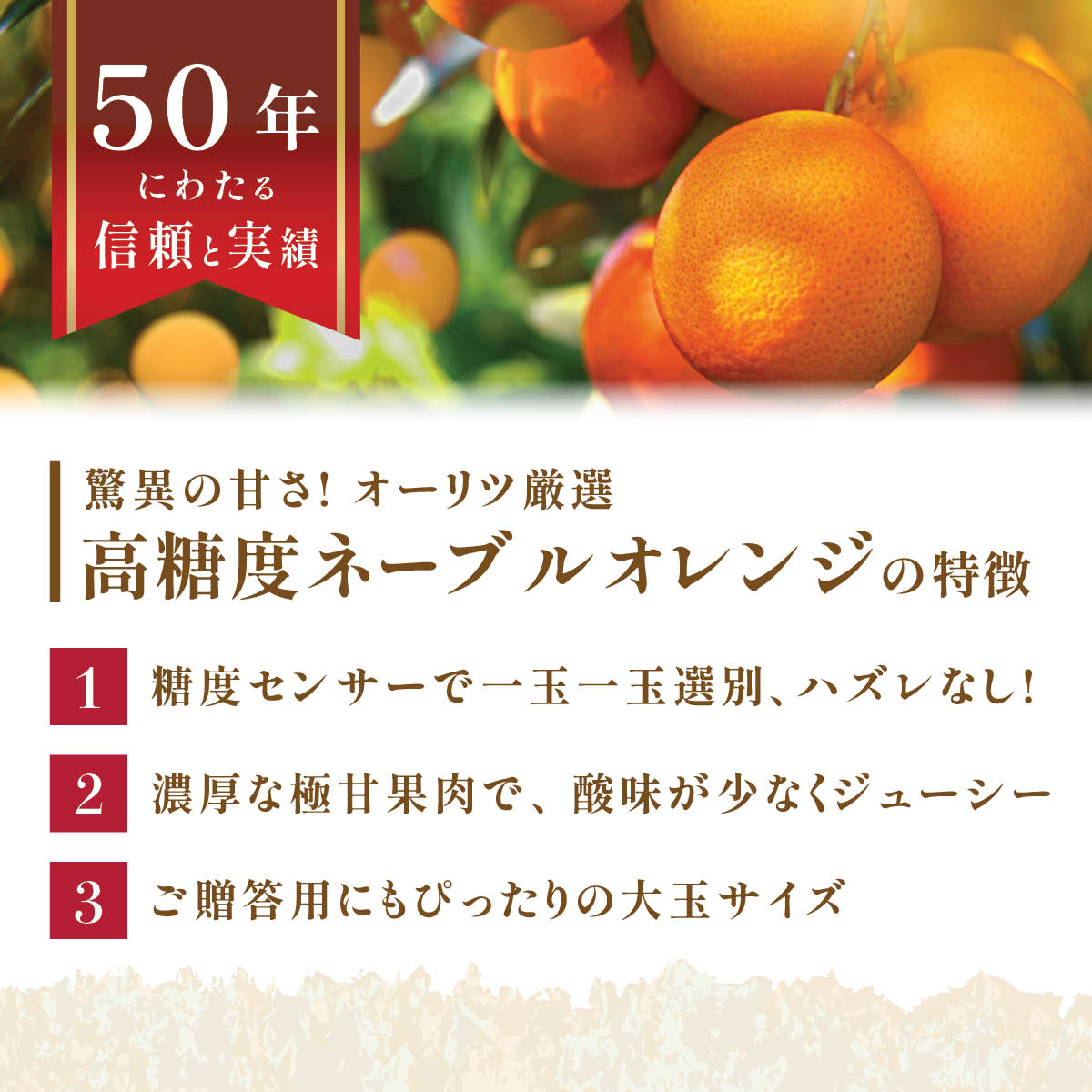 カリフォルニア産】高糖度ロイヤルネーブルオレンジ – oritzjapan
