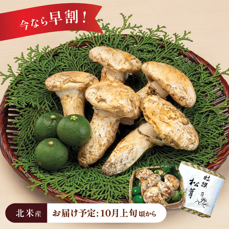 【北米産】お徳用松茸