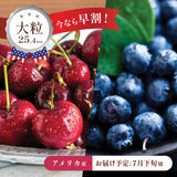 【ワシントン産】大粒ダークチェリー & ブルーベリーセット