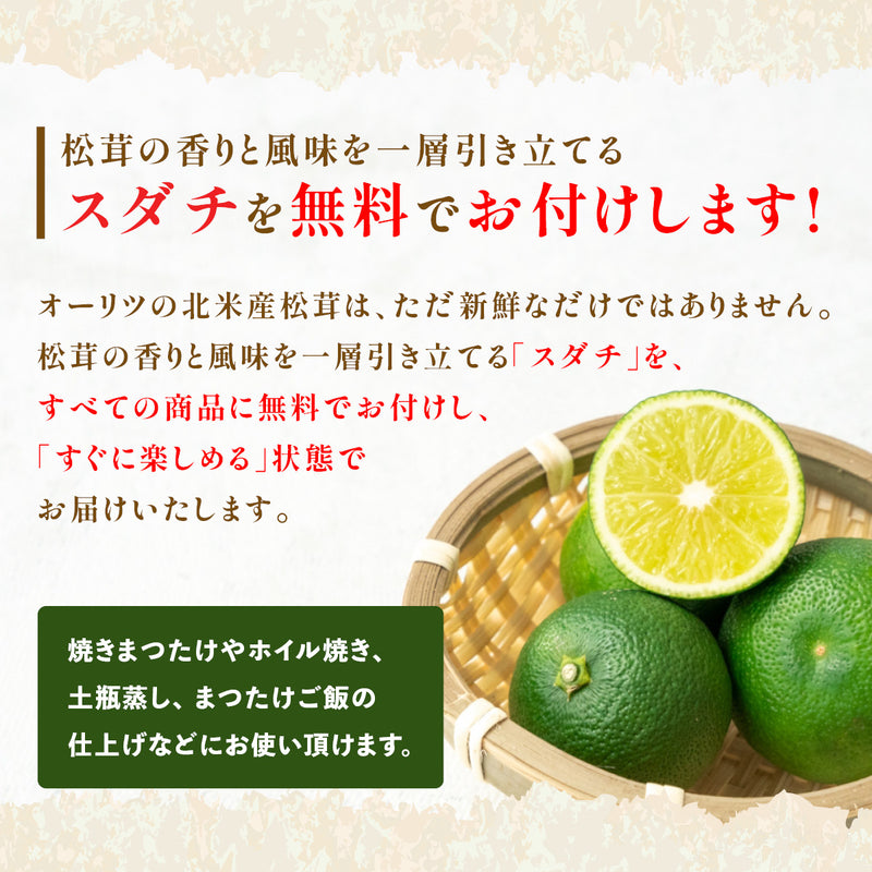 【北米産】お徳用松茸