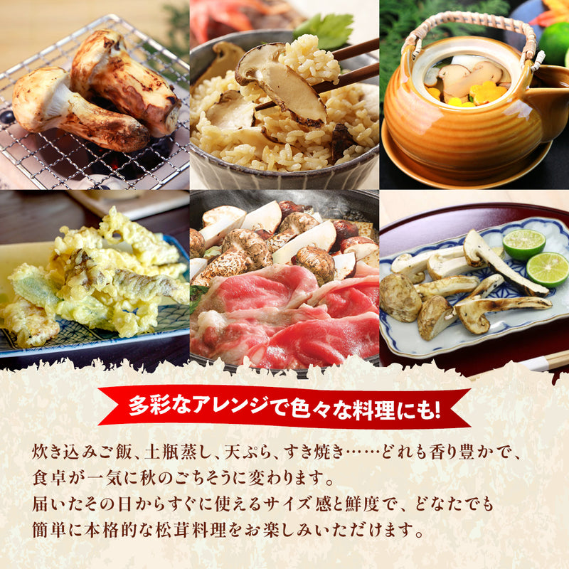 【北米産】お徳用松茸