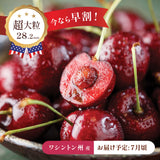 【ワシントン産】超大粒ダークチェリー