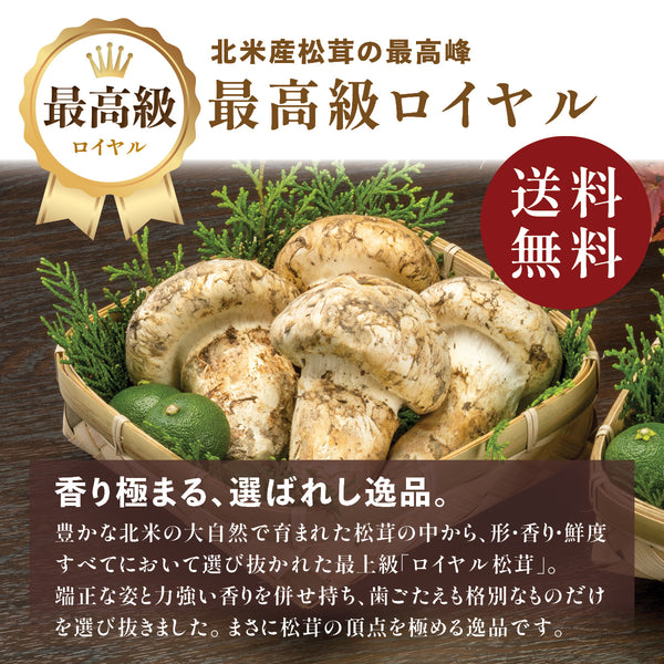 【北米産】最高級ロイヤル松茸