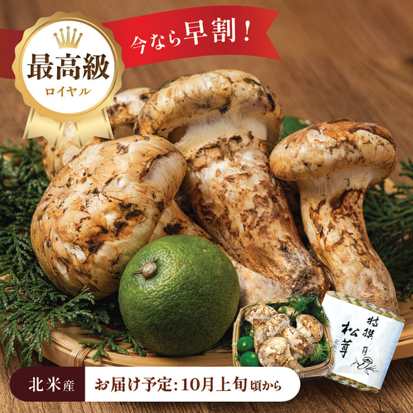 【北米産】最高級ロイヤル松茸