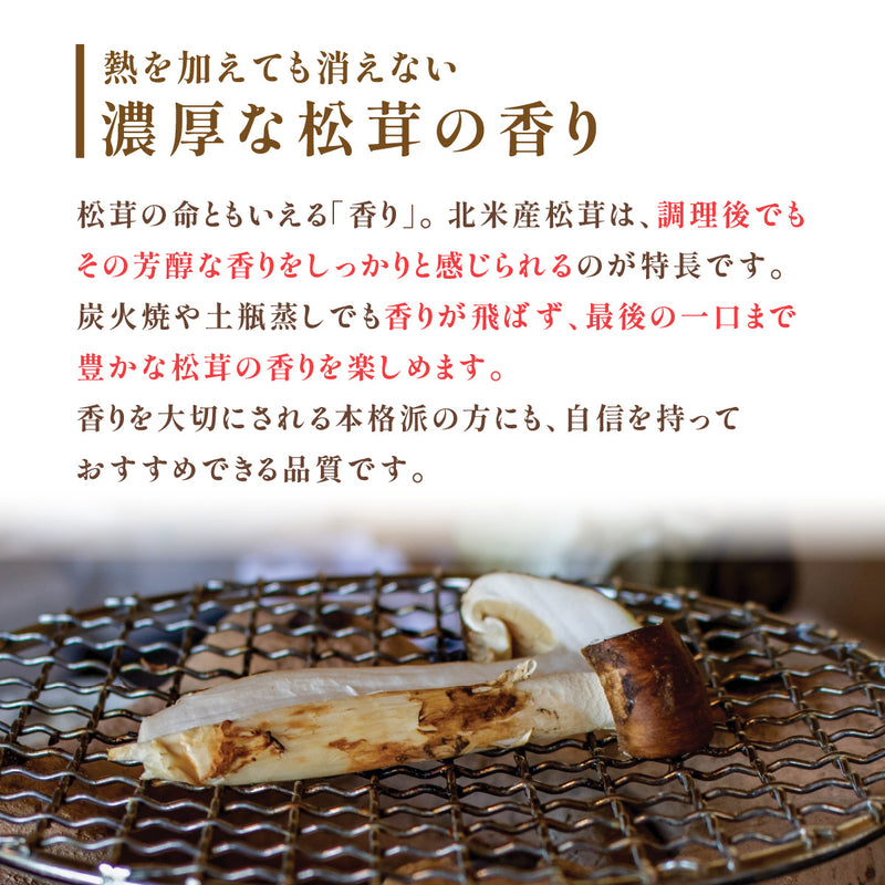 【北米産】お徳用松茸