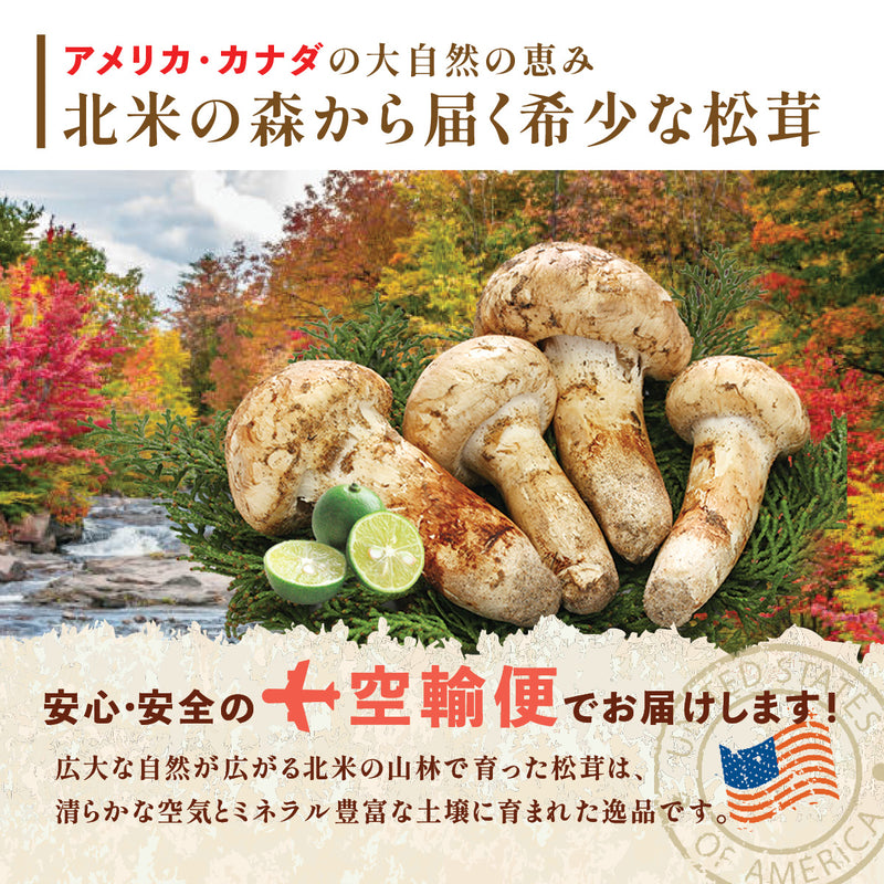 【北米産】お徳用松茸